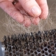 Why hair loss treatments fail — expert insight from Tricho Health Clinic